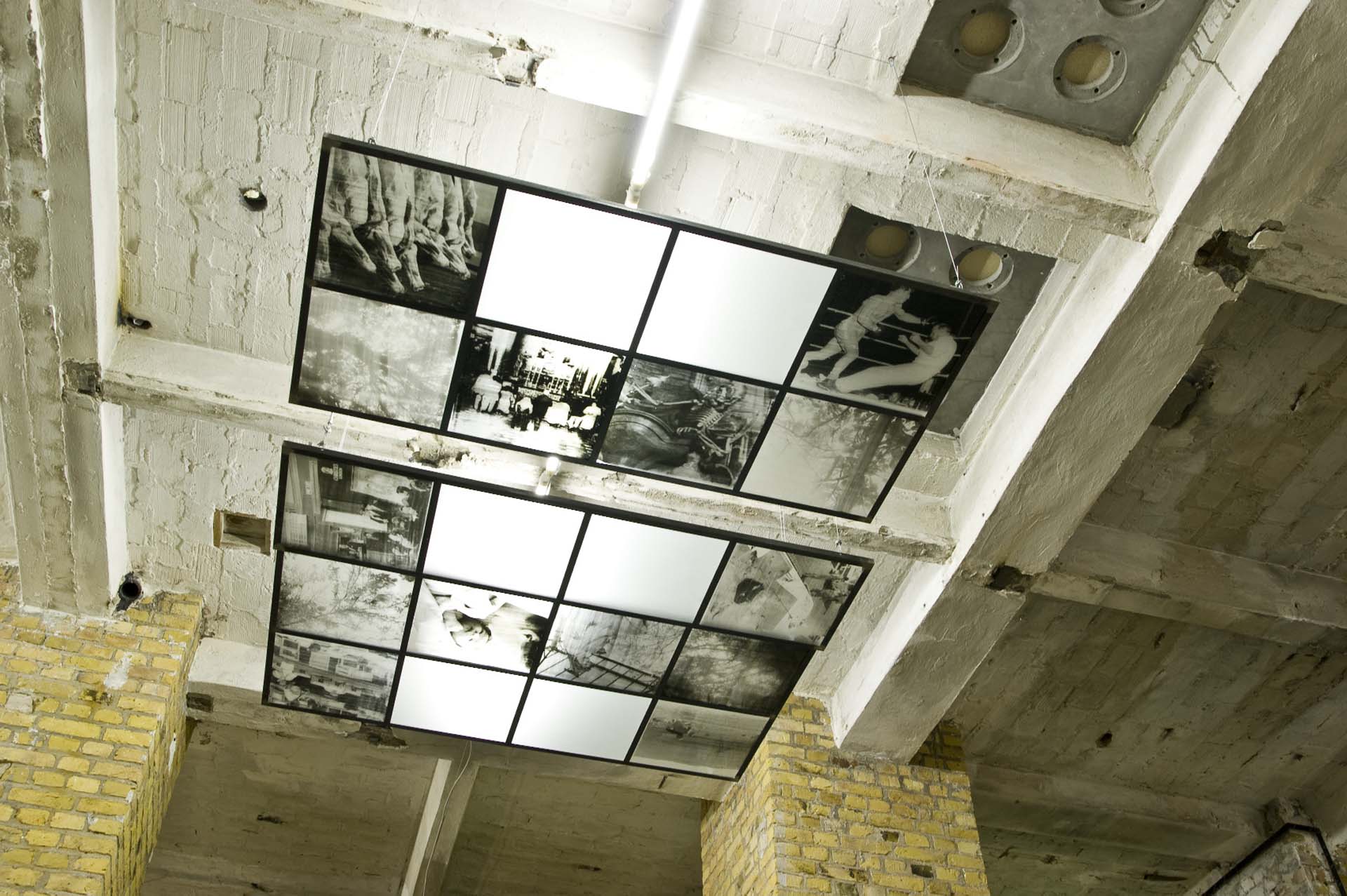 Joachim Seinfeld: Hanging Garden, Silver Gelatine Print on Glass, Metal Frames, 200 x 350 cm appr., 2008At Bazaar – Zur Strategie des Risikos (On the Strategies of Risk), 5th Berliner Kunstsalon, Berlin, 2008